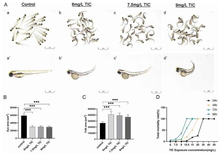 噻氯匹定通過(guò)AHR介導(dǎo)的氧化應(yīng)激信號(hào)通路誘導(dǎo)斑馬魚(yú)胚胎心臟毒性