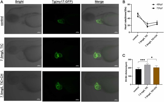 1-s20-S0147651321012501-gr5.jpg 1-s20-S0147651321012501-gr5.jpg