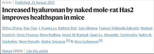 Nature：有趣！轉(zhuǎn)移來自裸鼴鼠的長壽基因nmrHas2竟可延長小鼠的壽命