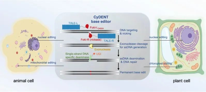 8028ac28bd554fc99ec63e15bfd770a1.jpg 8028ac28bd554fc99ec63e15bfd770a1.jpg