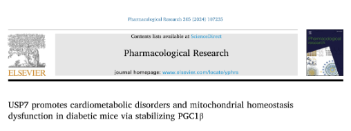 Pharmacol Res：USP7通過穩(wěn)定PGC1β促進(jìn)糖尿病小鼠心臟代謝紊亂和線粒體穩(wěn)態(tài)功能障礙-江蘇網(wǎng)站制作