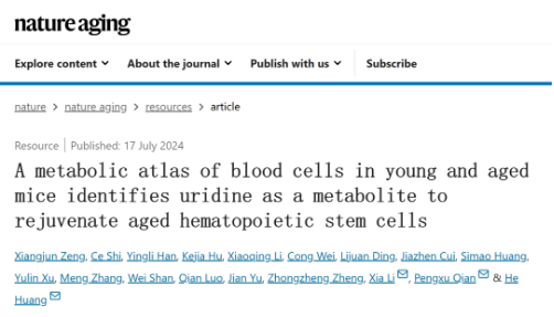 Nature Aging丨黃河/錢鵬旭團隊合作繪制小鼠造血系統(tǒng)衰老代謝圖譜并鑒定抗衰老代謝物-江蘇網(wǎng)站制作