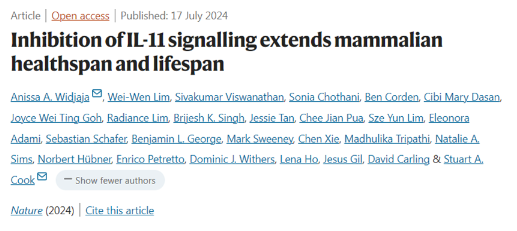 Nature：研究發(fā)現(xiàn)IL-11是衰老的關(guān)鍵驅(qū)動因素，抑制IL-11信號傳導(dǎo)可延長哺乳動物的健康壽命和壽命-江蘇網(wǎng)站制作