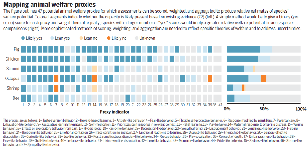 政策制定中納入動物福利因素的方法-江蘇網(wǎng)站制作