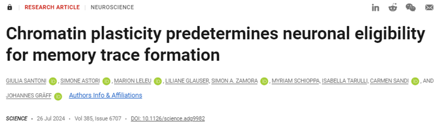Science：新研究揭示表觀遺傳學(xué)如何影響哺乳動物記憶形成-江蘇網(wǎng)站制作