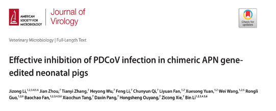 抗豬δ冠狀病毒基因編輯豬種質(zhì)創(chuàng)制方面取得新進展-江蘇網(wǎng)站制作