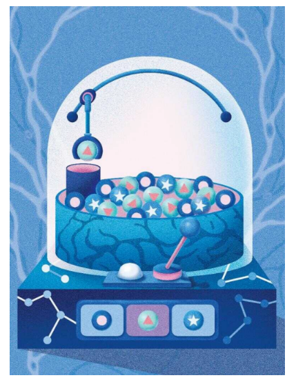 獼猴額葉皮層對序列工作記憶的靈活控制-江蘇網(wǎng)站制作