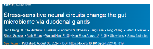 Cell：新研究指出在遭受壓力時，小鼠大腦會向腸道發(fā)送信息，從而減少有益細(xì)菌的水平-江蘇網(wǎng)站制作