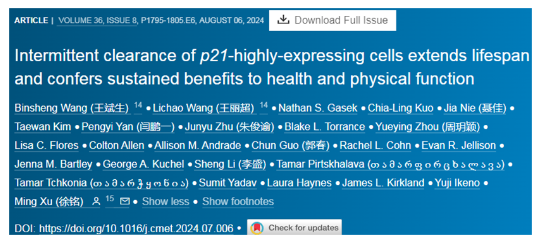 Cell Metab：定期清除高度表達p21的細胞不僅讓小鼠延長壽命，而且活得更健康-江蘇網(wǎng)站制作