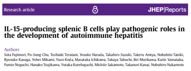 JHEP Reports:脾臟B細(xì)胞在自身免疫性肝炎中發(fā)揮致病作用-江蘇網(wǎng)站制作