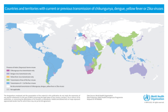 AG129小鼠：敲除這兩個基因，鼠鼠也能感染登革熱和寨卡病毒-江蘇網(wǎng)站制作