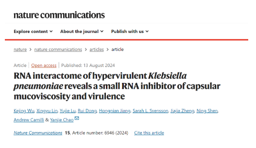 Nature Commun|晁彥杰研究組發(fā)現(xiàn)非編碼RNA控制高毒力超級(jí)細(xì)菌感染致病-江蘇網(wǎng)站制作
