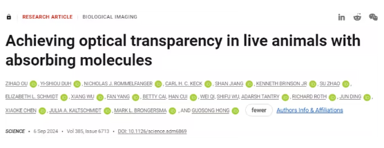 Science：通過強(qiáng)吸收分子實(shí)現(xiàn)活體動(dòng)物的光學(xué)透明-江蘇網(wǎng)站制作
