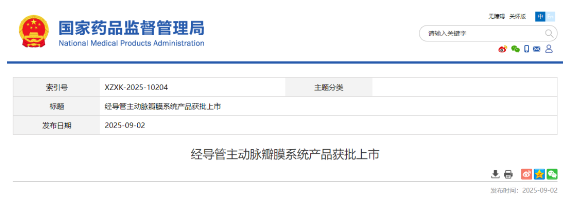 國家藥監(jiān)局 | 又一款創(chuàng)新醫(yī)療器械獲批上市-江蘇網(wǎng)站制作