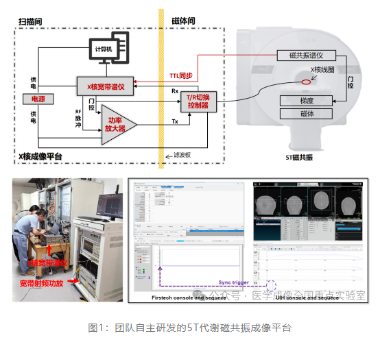 【研發(fā)前沿】全球首例！深圳先進院突破基于5T超高場磁共振的人體氘代謝波譜成像-江蘇網(wǎng)站制作