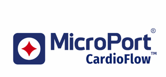 【海外風雲】MicroPort Cardio 的Alwide Plus球囊導管榮獲CE 標志-江蘇網站制作